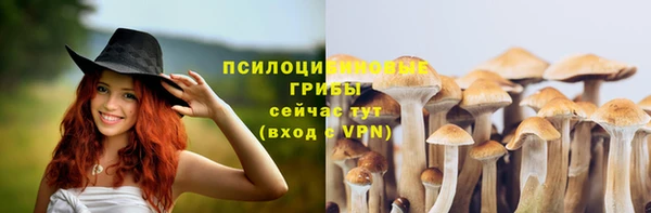 метамфетамин Аркадак