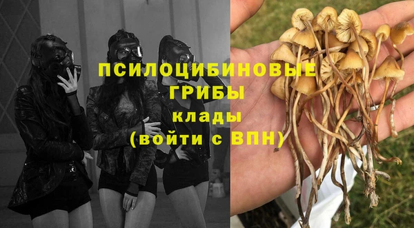 скорость Арсеньев